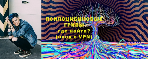 прущий лед Абаза