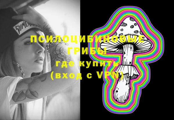 прущий лед Абаза